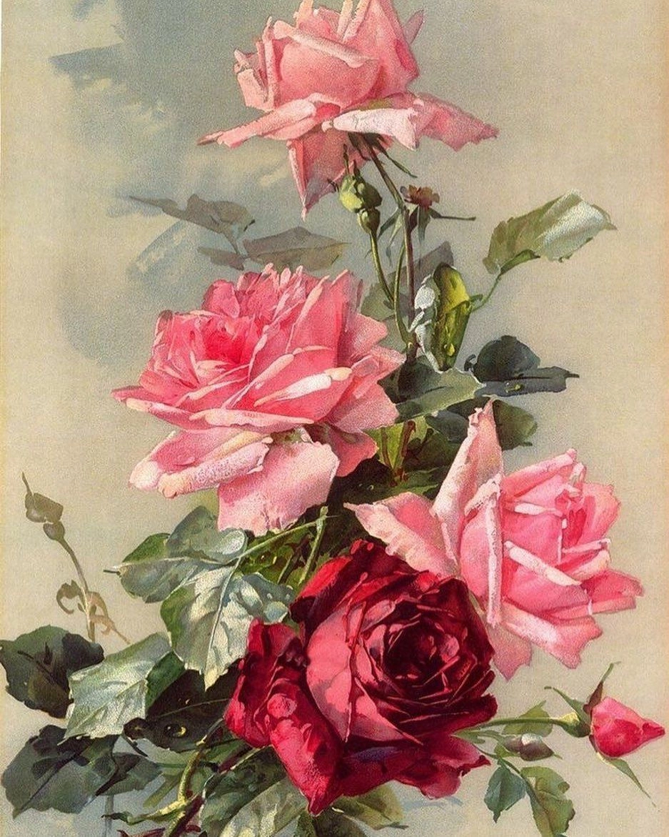 Розы от художника