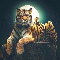 Тигр и бельчонок
