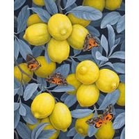 Лимоны и бабочки. Василиса Романенко
