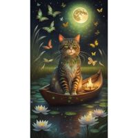 Котик и ночной пруд