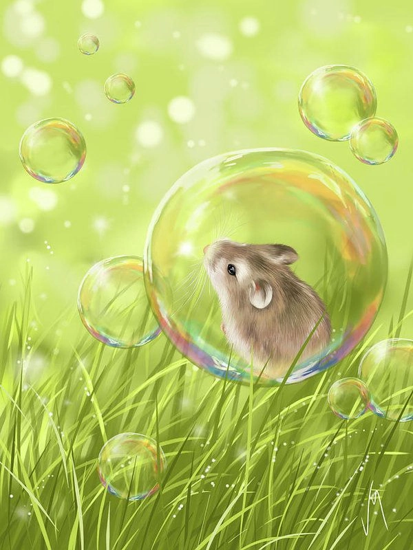 Мышонок в пузыре